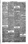 Weekly Register and Catholic Standard Saturday 15 July 1854 Page 3