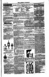 Weekly Register and Catholic Standard Saturday 15 July 1854 Page 13
