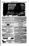 Weekly Register and Catholic Standard Saturday 15 July 1854 Page 15