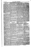 Weekly Register and Catholic Standard Saturday 22 July 1854 Page 11