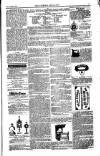 Weekly Register and Catholic Standard Saturday 22 July 1854 Page 13