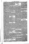 Weekly Register and Catholic Standard Saturday 02 September 1854 Page 5