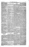 Weekly Register and Catholic Standard Saturday 09 December 1854 Page 13