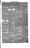 Weekly Register and Catholic Standard Saturday 13 October 1855 Page 13