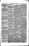 Weekly Register and Catholic Standard Saturday 29 December 1855 Page 7