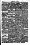 Weekly Register and Catholic Standard Saturday 05 January 1856 Page 7