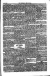 Weekly Register and Catholic Standard Saturday 05 January 1856 Page 11
