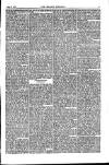 Weekly Register and Catholic Standard Saturday 16 February 1856 Page 13