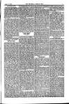 Weekly Register and Catholic Standard Saturday 22 March 1856 Page 11