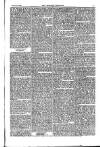 Weekly Register and Catholic Standard Saturday 22 March 1856 Page 13