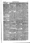 Weekly Register and Catholic Standard Saturday 02 August 1856 Page 13