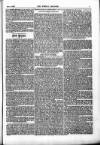 Weekly Register and Catholic Standard Saturday 05 September 1857 Page 7