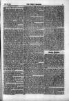 Weekly Register and Catholic Standard Saturday 25 February 1860 Page 5