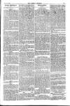 Weekly Register and Catholic Standard Saturday 10 June 1865 Page 13