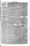 Weekly Register and Catholic Standard Saturday 02 September 1865 Page 3