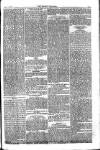 Weekly Register and Catholic Standard Saturday 02 September 1865 Page 5