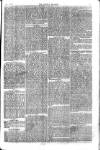 Weekly Register and Catholic Standard Saturday 02 September 1865 Page 7