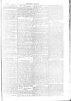 Weekly Register and Catholic Standard Saturday 06 January 1866 Page 13