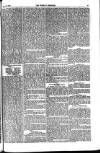Weekly Register and Catholic Standard Saturday 10 February 1866 Page 5