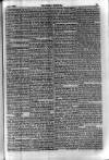 Weekly Register and Catholic Standard Saturday 07 April 1866 Page 9