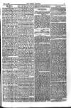 Weekly Register and Catholic Standard Saturday 02 February 1867 Page 3