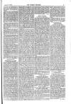 Weekly Register and Catholic Standard Saturday 18 January 1868 Page 11