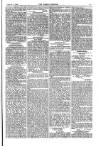 Weekly Register and Catholic Standard Saturday 01 February 1868 Page 11