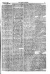 Weekly Register and Catholic Standard Saturday 20 February 1869 Page 3