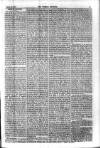 Weekly Register and Catholic Standard Saturday 20 March 1869 Page 3