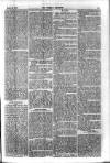 Weekly Register and Catholic Standard Saturday 20 March 1869 Page 5