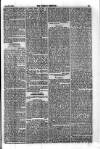 Weekly Register and Catholic Standard Saturday 26 June 1869 Page 11