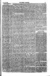 Weekly Register and Catholic Standard Saturday 14 August 1869 Page 3