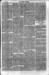 Weekly Register and Catholic Standard Saturday 21 August 1869 Page 15