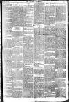 Brixham Western Guardian Thursday 12 June 1902 Page 3