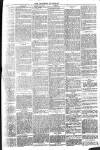 Brixham Western Guardian Thursday 24 July 1902 Page 5