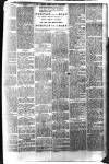 Brixham Western Guardian Thursday 28 August 1902 Page 3
