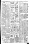 Brixham Western Guardian Thursday 20 November 1902 Page 3