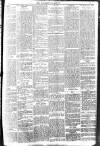 Brixham Western Guardian Thursday 21 May 1903 Page 5