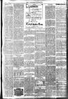 Brixham Western Guardian Thursday 03 March 1904 Page 3