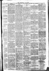 Brixham Western Guardian Thursday 03 March 1904 Page 5