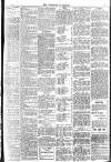 Brixham Western Guardian Thursday 16 June 1904 Page 3