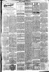 Brixham Western Guardian Thursday 12 January 1905 Page 3