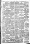 Brixham Western Guardian Thursday 19 January 1905 Page 4