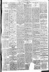 Brixham Western Guardian Thursday 26 January 1905 Page 5