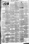 Brixham Western Guardian Thursday 02 February 1905 Page 3