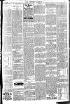 Brixham Western Guardian Thursday 13 April 1905 Page 3