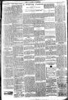 Brixham Western Guardian Thursday 04 January 1906 Page 3