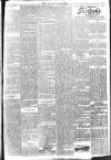 Brixham Western Guardian Thursday 25 January 1906 Page 3