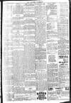 Brixham Western Guardian Thursday 19 April 1906 Page 7