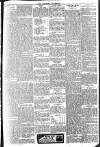 Brixham Western Guardian Thursday 14 June 1906 Page 7